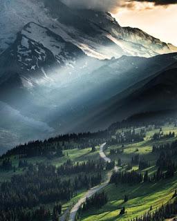 EN LOS CAMPOS VERDES...