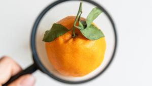 Más razones para comer bio: 50 tóxicos en las naranjas de importación (¿y en las demás?)
