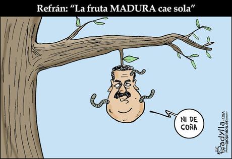 [SONRÍA, POR FAVOR] Al menos hoy viernes, 8 de febrero