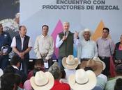 Entrega alfredo mazo apoyos para incrementar producción mezcal edoméx