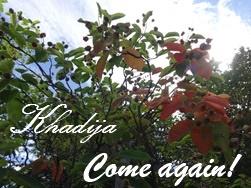 SOUPE CRÉMEUSE AU RUTABAGA, CAROTTES ET CUMIN / RUTABAGA, CARROT AND CUMIN CREAM SOUP / SOPA CREMOSA DE COLINABO, ZANAHORIA Y CUMINO / حساء الروتاباغا والجزر و الكمون