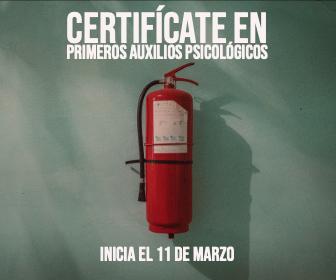 A Carolina le va mal, pero todo está bien (y bien no es bastante) A Carolina le va mal, pero todo está bien (y bien no es bastante)