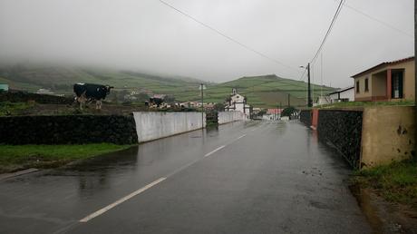 Islas Azores el paraíso del Atlántico Fonte do bastardo - Terceira
