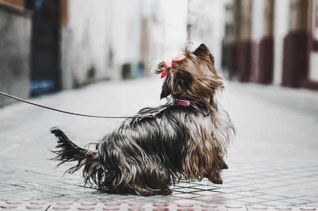 HOW TO STYLE: GREY COAT HOW TO STYLE: GREY COAT