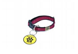 RENAULT OFRECE REPUESTOS Y ACCESORIOS ORIGINALES AL ALCANCE DE TODOS LOS CLIENTES RENAULT OFRECE REPUESTOS Y ACCESORIOS ORIGINALES AL ALCANCE DE TODOS LOS CLIENTES