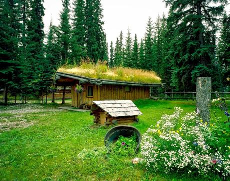 esas casas rusticas con jardin y cesped