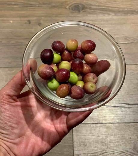 Suo Tempore, el nuevo aceite Premium de Les Garrigues. Suo tempore