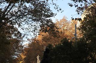 El Hércules de passeig de Sant Joan en Catalunya Plural