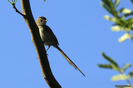Salida realizada en San Miguel del Monte (12 de enero)