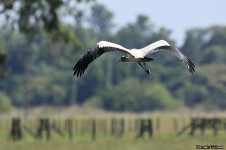 Salida realizada en San Miguel del Monte (12 de enero)