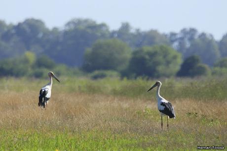 Salida realizada en San Miguel del Monte (12 de enero)