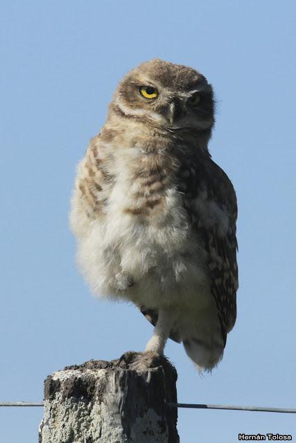 Salida realizada en San Miguel del Monte (12 de enero)