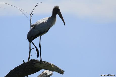 Salida realizada en San Miguel del Monte (12 de enero)
