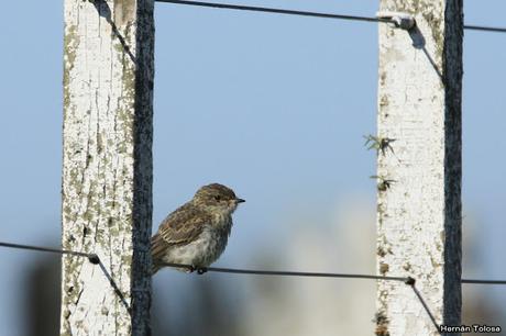 Salida realizada en San Miguel del Monte (12 de enero)