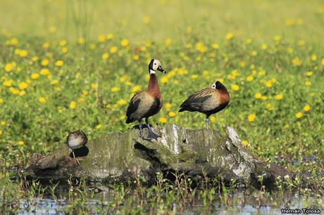 Salida realizada en San Miguel del Monte (12 de enero)