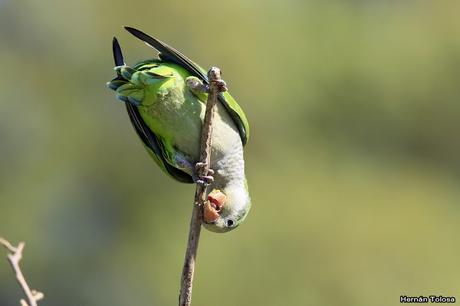 Salida realizada en San Miguel del Monte (12 de enero)