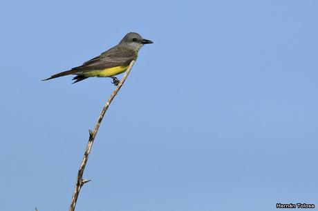 Salida realizada en San Miguel del Monte (12 de enero)