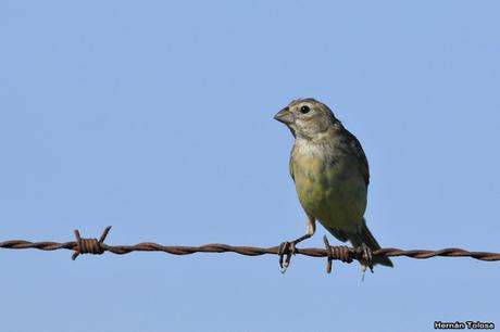 Salida realizada en San Miguel del Monte (12 de enero)