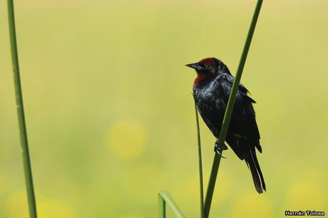 Salida realizada en San Miguel del Monte (12 de enero)