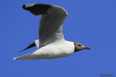 Salida realizada en San Miguel del Monte (12 de enero)