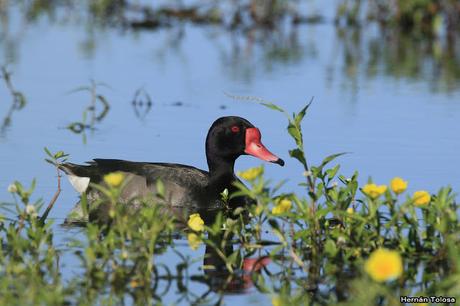Salida realizada en San Miguel del Monte (12 de enero)