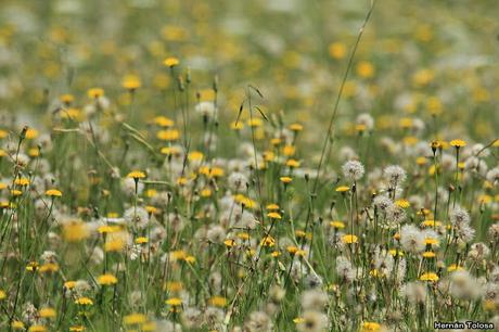 Salida realizada en San Miguel del Monte (12 de enero)