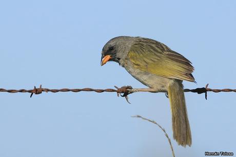 Salida realizada en San Miguel del Monte (12 de enero)