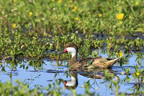 Salida realizada en San Miguel del Monte (12 de enero)