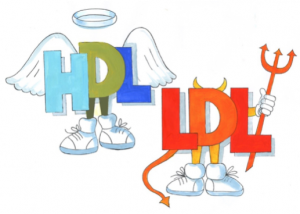 20 consejos para reducir el colesterol