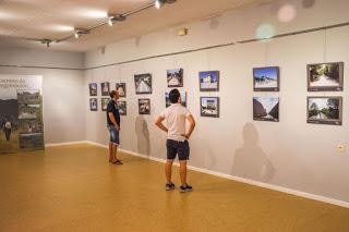 Tablas periódicas curiosas