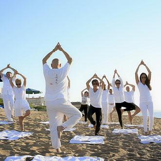 Quinoa con seitán a la menta
