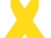 Cáncer Infántil, Ciberoptimismo, allá Medicina Paliativa