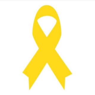 Cáncer Infántil, el Ciberoptimismo,  Más allá de la Medicina Paliativa