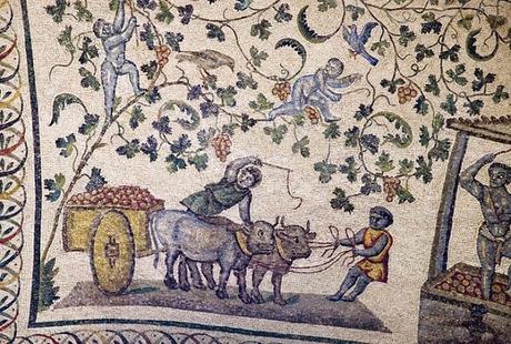 Conservación del vino en la antigua Roma.