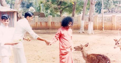 Haciendo Dios nuestro primer recurso - una experiencia con Sri Sathya Sai Haciendo Dios nuestro primer recurso - una experiencia con Sri Sathya Sai