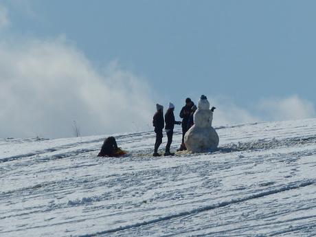 NIEVE