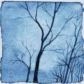 IMG_20190214_083451_782