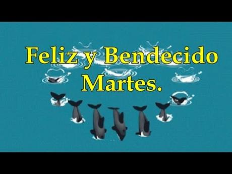 Feliz y Bendecido Martes