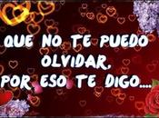 Estoy Enamorada quiero