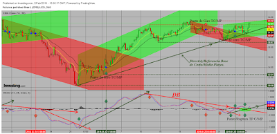 Oro, Petróleo y Warrants CT S5/2019.