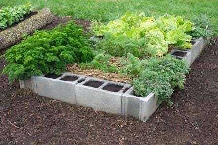 raised-bed-cinderblock