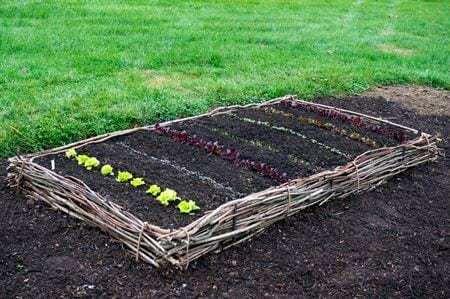 raised-bed-wattle