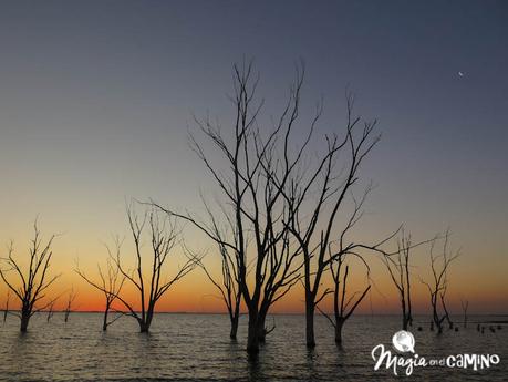 Villa Epecuén y una prosperidad truncada