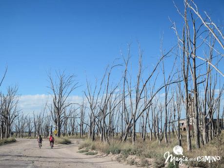 Villa Epecuén y una prosperidad truncada