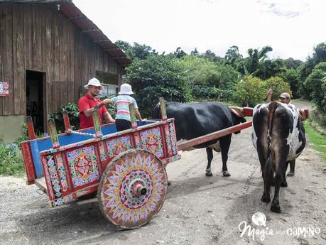 Tour de chocolate, café y azúcar: un 3×1 tentador