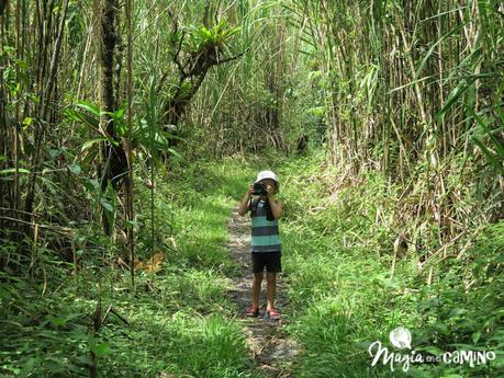 Qué hacer en La Fortuna y el Parque Volcán Arenal