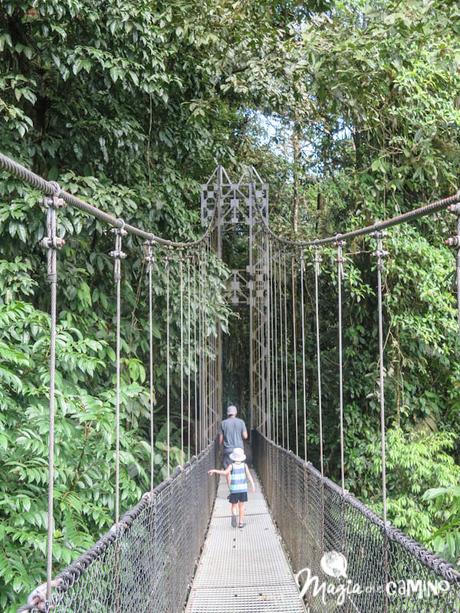Puentes colgantes en Costa Rica: mi experiencia en Misticopark, Arenal