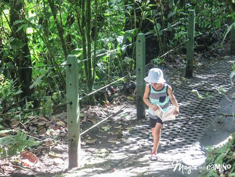 Puentes colgantes en Costa Rica: mi experiencia en Misticopark, Arenal
