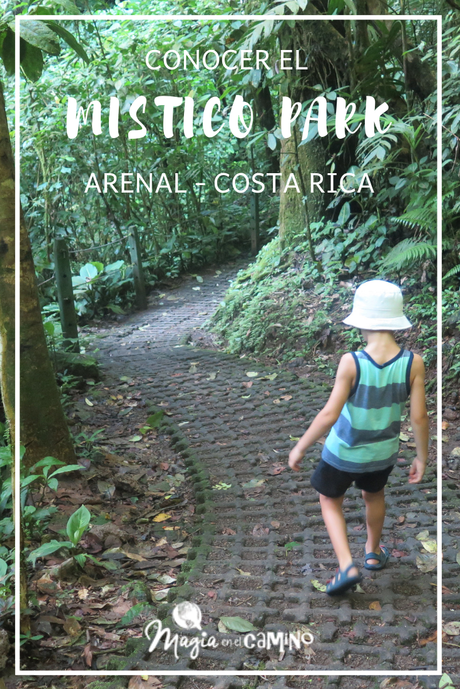 Puentes colgantes en Costa Rica: mi experiencia en Misticopark, Arenal
