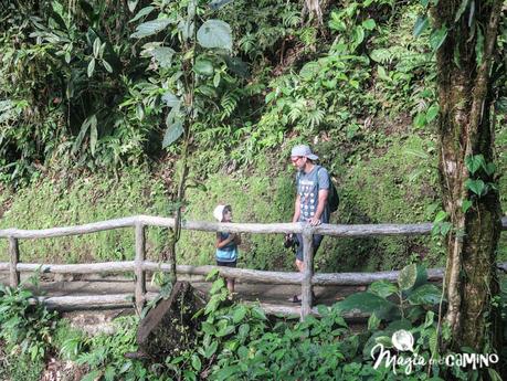 Puentes colgantes en Costa Rica: mi experiencia en Misticopark, Arenal